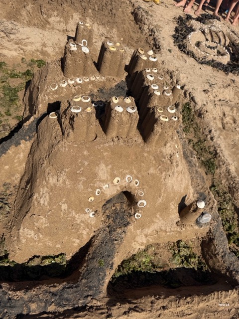 Stacks Image 4745