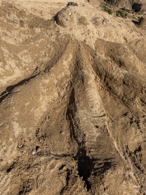 Stacks Image 4857